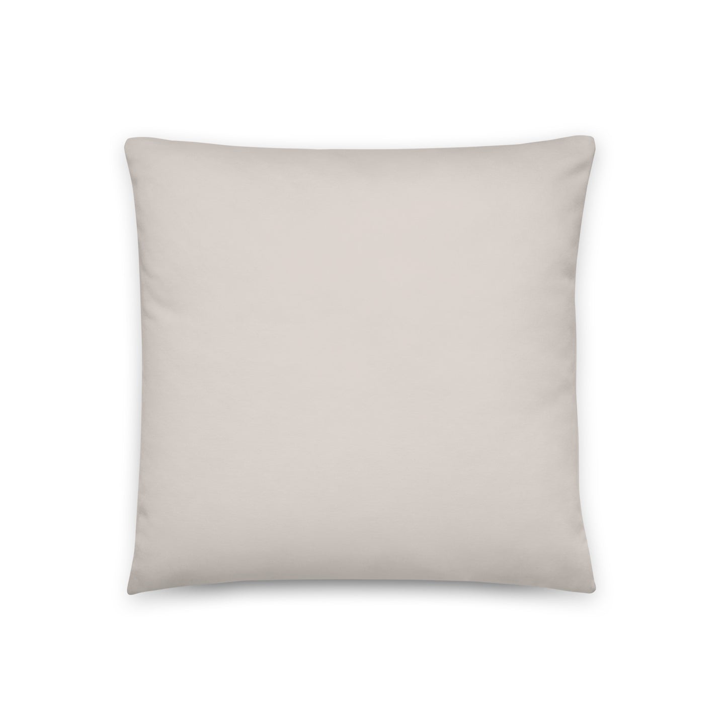 Decorative Light Day Slightly Cream 18 x 18 inches Throw Pillow Case & Insert